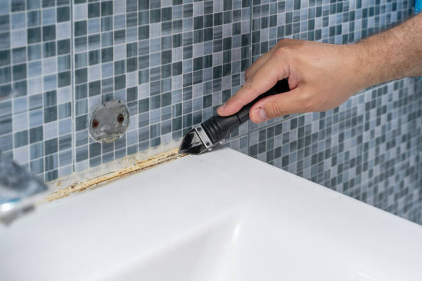 Best Mold Remediation for Schools in Ridgefield, NJ