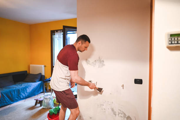 Best Preventive Mold Services in Ridgefield, NJ
